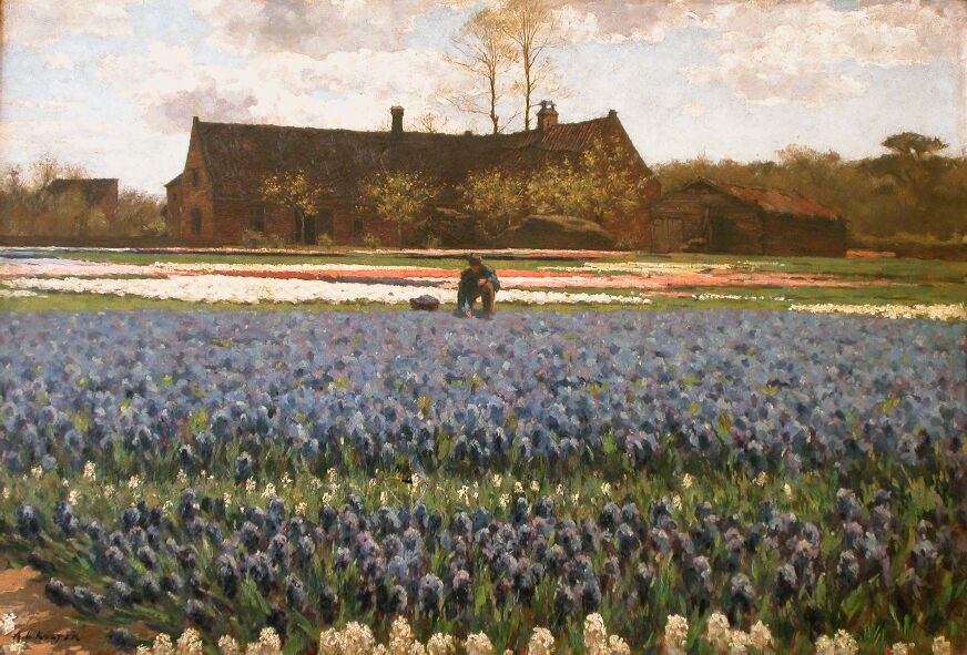 A.L. Koster Bloeiende hyacinten en een boerderij Museum de Zwarte Tulp Lisse (bruikleen Kunstmuseum Den Haag)
